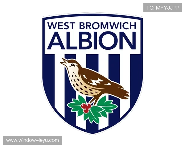 西布罗姆维奇俱乐部最新动态：新赛季阵容调整与战术创新全面分析