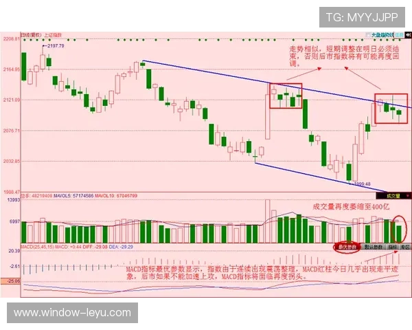 德甲最新战报分析全解析各队胜负走势与关键比赛点评